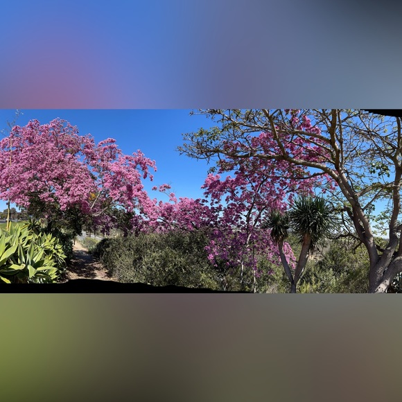 Meet your Posher, Maira - Picture 1 of 1